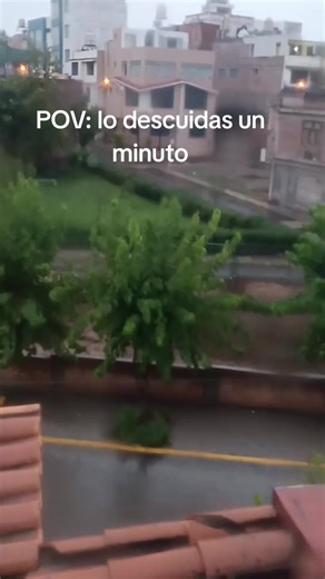 Descuido Repentino en Arequipa Durante Tormenta