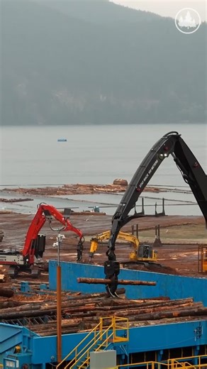 Forestnet Media | Creating visibility for the forest sector’s leading organizations. ⁠ ⁠ Reaching the forest sector takes more than marketing. It takes the... | Instagram