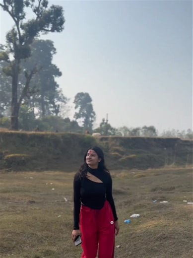 Understanding the Director's Role in Cinema