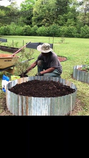 How to Uppot Blueberry Bush for a Thriving Garden