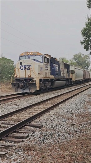 Foggy Florida Morning Chase | CSX B210-07 w/ OLS 4568 Leads Through Vitis Junction