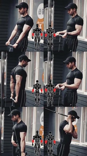 BEST Forearm Workout 🔥 #forearmworkout #shorts