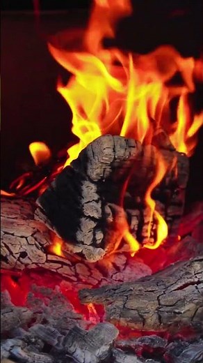 How to Season a Workhorse Pits 1975 Offset Smoker #bbq #offsetsmoker #bbqlovers #grilling