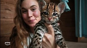 WILDCAT Trailer | Movie Trailers and Videos