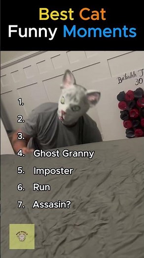 Ranking The Funniest Cat Reactions (Part 2) #shorts #ranking #cats