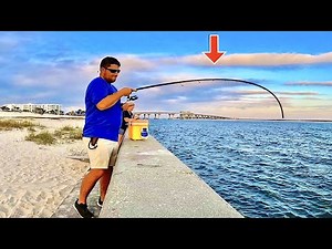 THIS is the PIER FIsh I Needed...