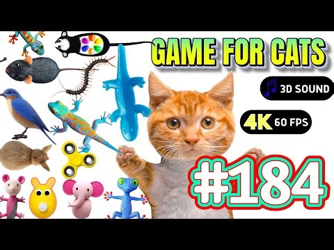 Cat Game - Ultimate Cat Toy Compilation For Cats To Watch #184🦎Lizards🦎Squirrels🐿️Insects, Ball,Mice