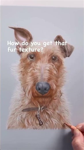 How I Create Realistic Pet Portraits ✨🐕