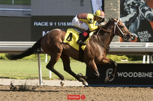 Woodbine Picks | Eclipse Stakes 2024