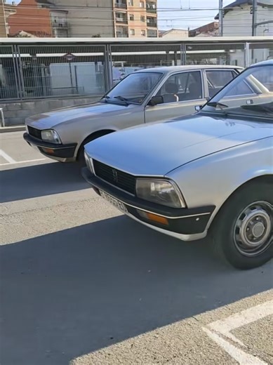 Dos bonitos Peugeot 505 ambos del año 1981. El gris es un STI de Antonio y el dorado un SR de Xavi. #peugeot #505 #peugeot505 #classiccar #classiccars