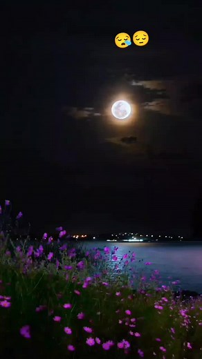 Stunning Night Scenes Under the Full Moon