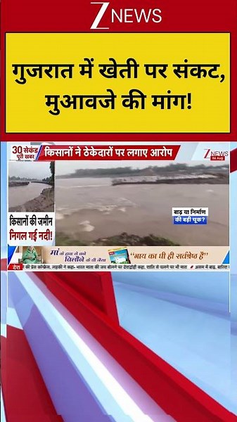 Gujarat News : गुजरात में खेती पर संकट, मुआवजे की मांग | Gujarat Farmers News | Zee News