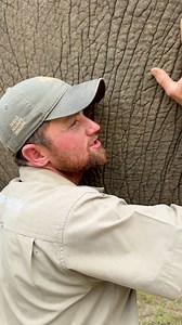 130K views · 4.6K reactions | Did you know that elephants only digest 50% of their food!  | Reilly Travers | Facebook