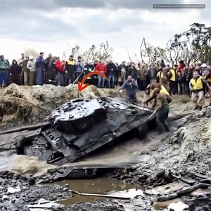 16K views | People Found a Tank in the Forest. When They Opened the...