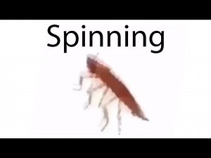 Spinning Cockroach Meme