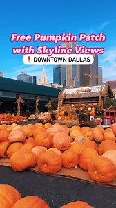 34K views · 246 reactions |  Free pumpkin patch with skyline views...