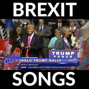 21K views · 106 reactions | Now That's What I Call #Brexit Songs. Vol 1. Perfect #xmas gift. | Ryan Swain | Facebook