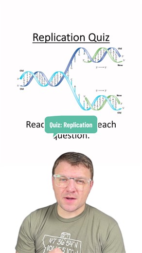 Understanding DNA Replication: A Comprehensive Quiz
