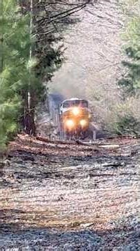 #railtrack #railroad #csx #railfan #railway #train #trainsim #trainspotting #csxtrain