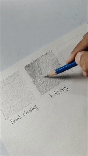 sheding type. day 2 #drawing #tutorial #viral #knowledge