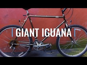Giant Iguana Steel Mountain Bike 80's