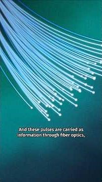 Here’s A Mind-Blowing Fact: The Internet Needs the Ocean to Operate!