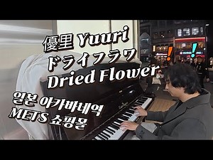 유우리(優里, Yuuri) - 드라이플라워(ドライフラワ, Dried Flower) 악보 못 보는 절대음감이 일본 아카바네역 METS 쇼핑몰 옆 도로에서 연주하는 길거리 피아노
