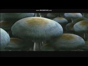 Opening To Indiana Jones And The Kingdom And The Crystal Skull 2008 DVD