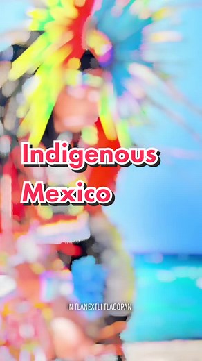 #Indigenous #Mexico #nativetiktok #youth #aztecdancer #danzante #danzaazteca #intlanextlitlacopan