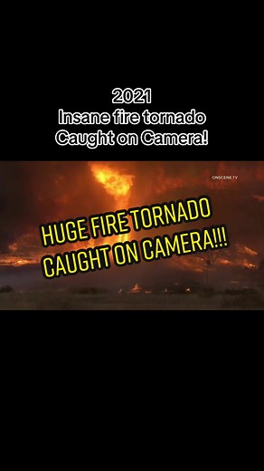 Stormjunkie on TikTok