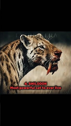 The 5 scariest extinct animals that modern humans would have encountered 🔥 #shorts