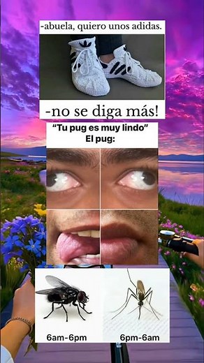 el pug es muy lindo 😅