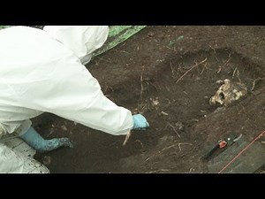 How are forensic remains exposed & recovered?