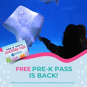 44K views · 63 reactions | Adventure Aquarium’s Pre-K Adventure Pass...