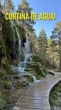 ¡El NACIMIENTO de RÍO más ESPECTACULAR de España! 🌊🌲 #Shorts