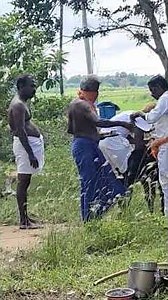 munishwaran madurai okkupaati #saamy