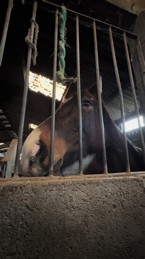 Pandoraaa ❤️ (8th of January)