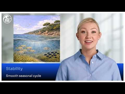 Principle 2 More change, faster lives