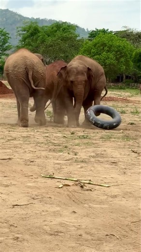 7.4K views · 1K reactions | Who doesn’t love joining friends for a...