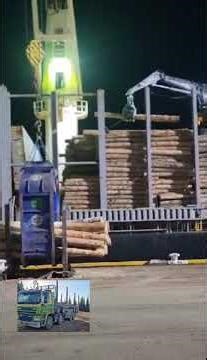 loading of export log ship