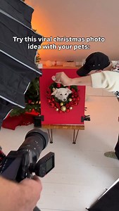 135K views · 18K reactions | Super easy photo idea for christmas photos with pets.  #christmas #photos #hack #pets #dog #hund #cat #katze | Tobi Langer | Facebook