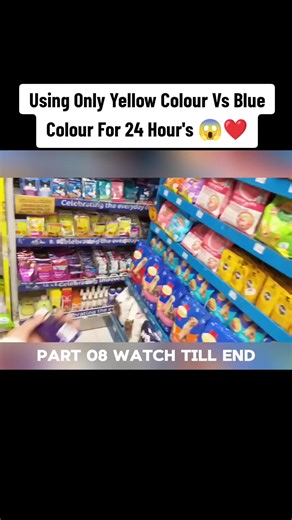 Yellow vs. Blue Color Challenge for 24 Hours