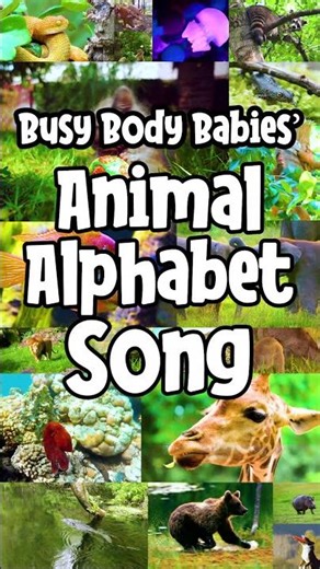 Introduction to Busy Body Babies' Animal Alphabet Song | Learn Animal Names A–Z | ABC Animal Song