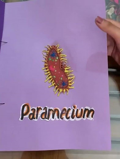 Project file on clay models on microorganisms for class 8th .