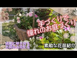 【ガーデニング】手づくりで憧れのお庭づくり 綺麗に咲き誇るお庭のお花たち 素敵な花苗紹介