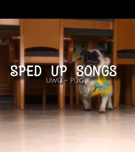 حسابات مقترحة