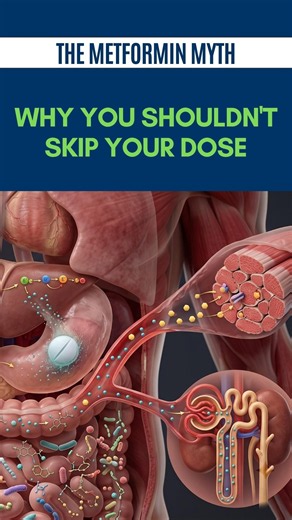 Metformin Explained How It Lowers Blood Sugar, Its Side Effects, Kidney Safety and What It Cannot Do