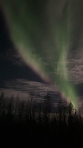 441 reactions · 21 shares | Last night northern lights. Eleven years cycle is reaching its peak. | Destination Lapland | Facebook