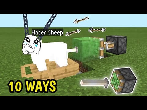 10 Ways To Torture A Sheep In Minecraft