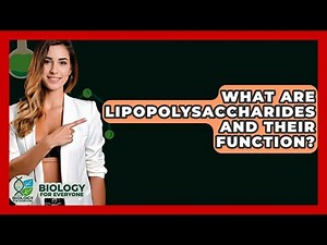 What Are Lipopolysaccharides And Their Function? - Biology For Everyone
